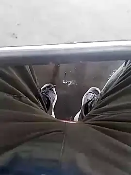 Snapshot of Aliyeni1 chatting on 12-01-25, 09:25 Aliyeni1 online show from 12-01-25, 09:25