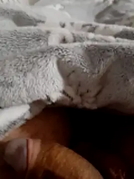 Snapshot of ratoncito_3 chatting on 11-16-25, 02:06 ratoncito 3 online show from 11-16-25, 02:06