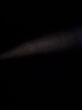 ratoncito 3 online show from 02-08-26, 02:37