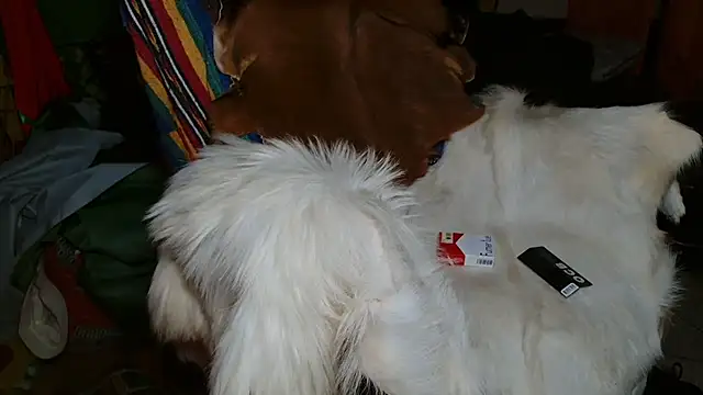 JUSTFORRICH online show from 01-08-26, 10:12