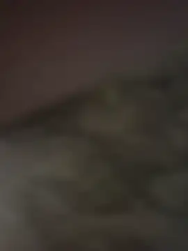 gigoloboymumbai00 online show from 10-23-25, 08:07