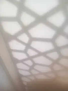 bullut06 online show from 02-04-26, 11:38