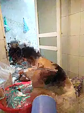 naop04 online show from 10-21-25, 11:16