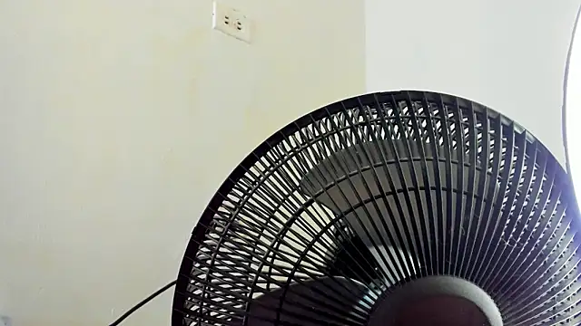 David niet online show from 11-04-25, 06:18