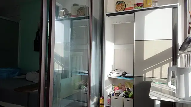 cily online show from 11-25-25, 12:54