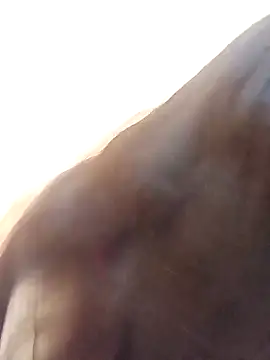 Payal-001 online show from 10-17-25, 07:27