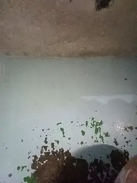 RandalHot online show from 01-14-26, 04:18