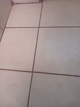 bushbaby-dicky online show from 11-20-25, 11:43