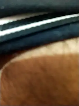 8inches DelhiBOY online show from 11-17-25, 05:13