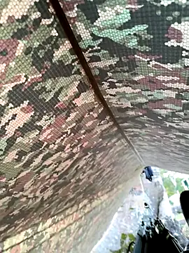 Snapshot of Alabestia12 chatting on 11-11-25, 11:21 Alabestia12 online show from 11-11-25, 11:21