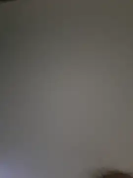 itsLoBunny online show from 02-23-26, 01:14