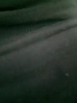 Rose 194 online show from 10-14-25, 01:12