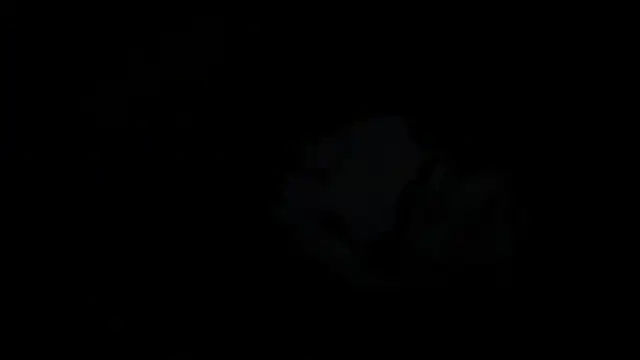 Rosea Champagne online show from 10-22-25, 12:16