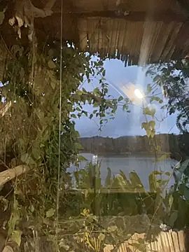 Snapshot of Just_Isaa chatting on 01-31-26, 11:14 Just Isaa online show from 01-31-26, 11:14