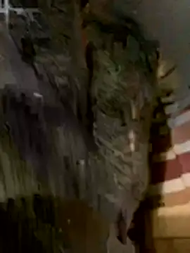 anhye8 online show from 02-08-26, 03:37