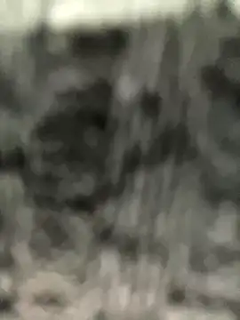 Snapshot of caroline__muller chatting on 10-14-25, 10:49 caroline muller online show from 10-14-25, 10:49