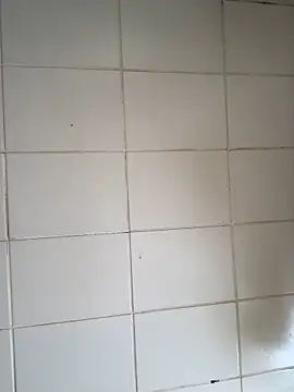 Novinhodotadomg online show from 11-06-25, 01:45