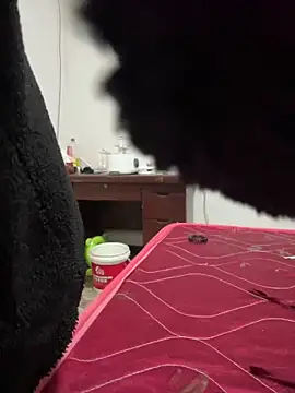 crhong666 online show from 12-16-25, 12:26