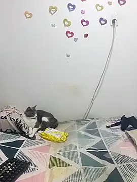 tany90 online show from 10-31-25, 11:17