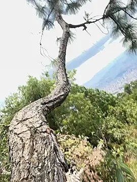 Alexis Spicter online show from 09-16-25, 05:03