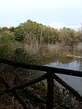 pegaso369 online show from 10-20-25, 02:39