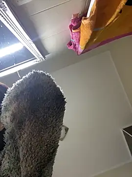 Lexi Storm online show from 12-03-25, 05:48