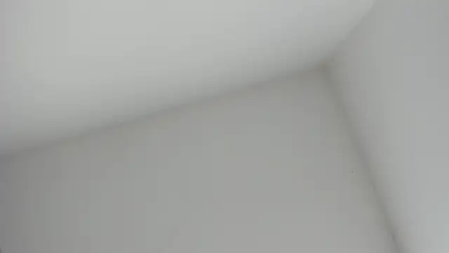 Snapshot of VioletRose_as chatting on 11-16-25, 08:36 VioletRose as online show from 11-16-25, 08:36