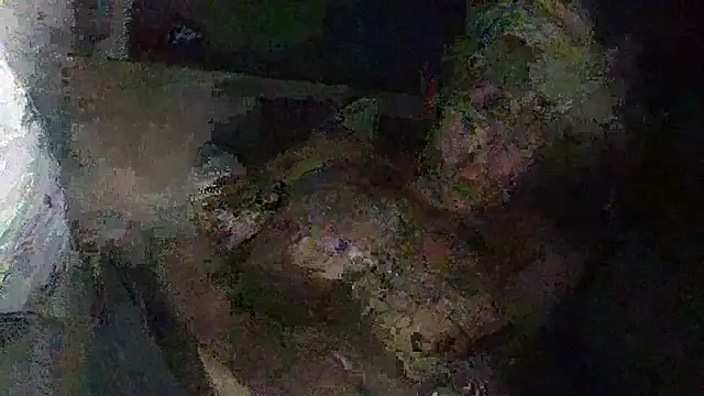 Snapshot of IsAparty chatting on 10-11-25, 05:28 IsAparty online show from 10-11-25, 05:28