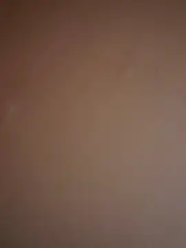 Snapshot of ant912000 chatting on 10-26-25, 12:00 ant912000 online show from 10-26-25, 12:00