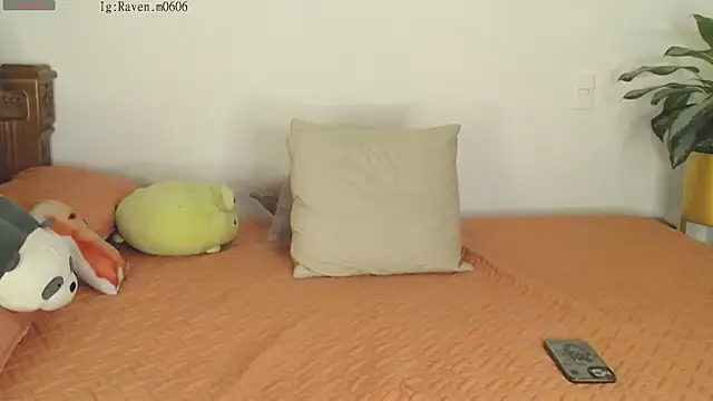 Snapshot of Raven06_ chatting on 11-11-25, 12:10 Raven06 online show from 11-11-25, 12:10