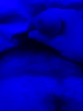 Derfick200 online show from 12-02-25, 07:09