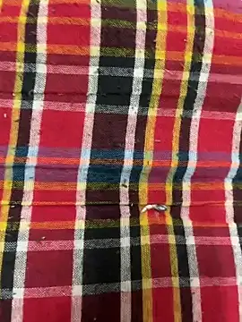 hamstar09 online show from 10-17-25, 05:48