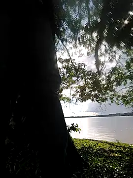 delesteli online show from 11-01-25, 08:33