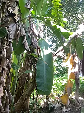 anastasia cums online show from 10-17-25, 05:54