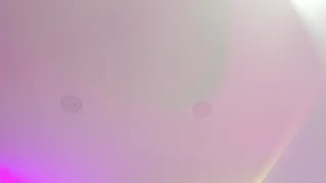 Cherrydollxx online show from 09-25-25, 11:58