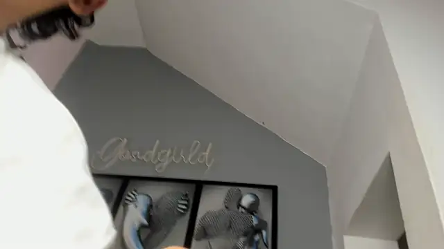 camillo virgil online show from 10-14-25, 10:49