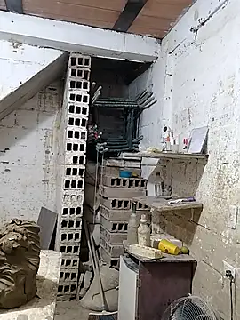 hoteder online show from 10-08-25, 12:14