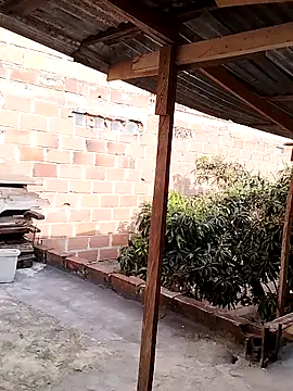 hoteder online show from 11-28-25, 12:52