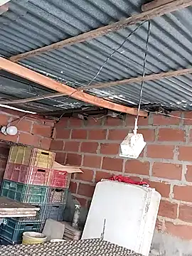 hoteder online show from 12-04-25, 12:47