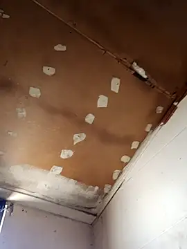 lucho2328 online show from 11-11-25, 07:47