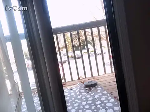 Snapshot of honoka008 chatting on 11-29-25, 05:05 honoka008 online show from 11-29-25, 05:05