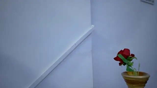 Lizbeth Rouse online show from 11-15-25, 11:29