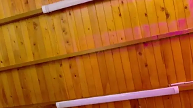 Lizbeth Rouse online show from 01-12-26, 10:20