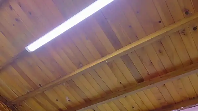 Lizbeth Rouse online show from 01-13-26, 10:42