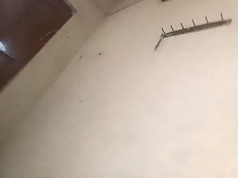 96Rohon online show from 10-18-25, 02:58