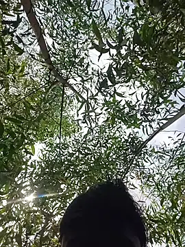 Snapshot of 96Rohon chatting on 03-21-26, 06:18 96Rohon online show from 03-21-26, 06:18