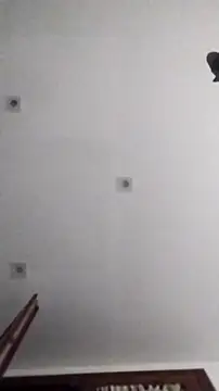 PearlingBunkbed online show from 11-09-25, 05:06