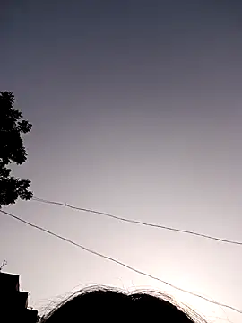 Neelamt12 online show from 11-15-25, 10:23