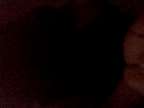 Vnleo2001 online show from 09-13-25, 08:36