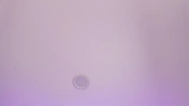 Snapshot of BabyMiaa__ chatting on 11-19-25, 03:23 BabyMiaa online show from 11-19-25, 03:23